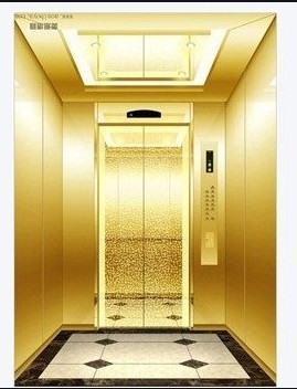1600KG乗客のエレベーターVVVFインバーター制御SS304国内乗客の上昇